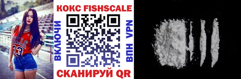 где можно купить наркотик  Волхов  Cocaine 97% 