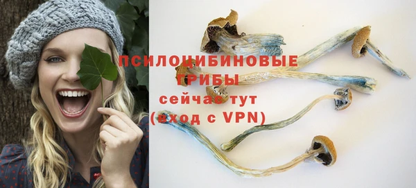 apvp Верхний Тагил