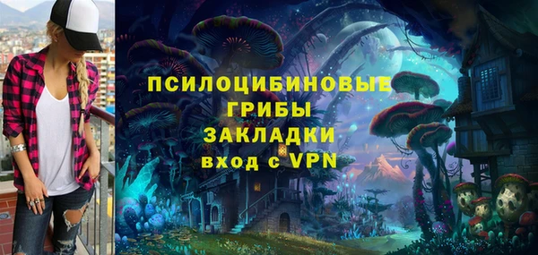 apvp Верхний Тагил