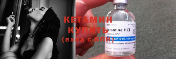 стаф Бородино