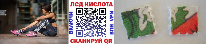 площадка состав  ОМГ ОМГ сайт  Волхов  Наркотические марки 1500мкг 