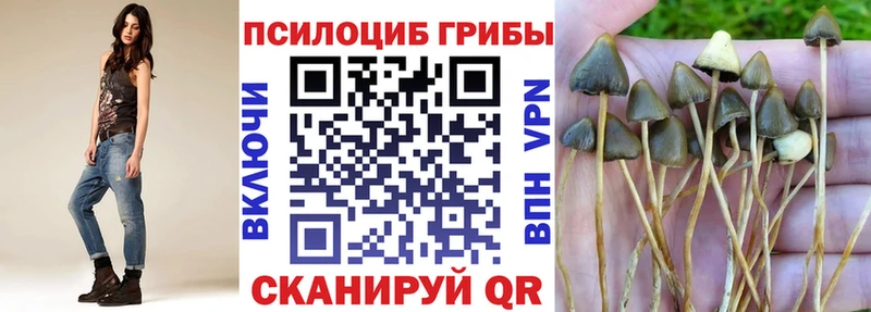 Галлюциногенные грибы GOLDEN TEACHER  mega сайт  Волхов 
